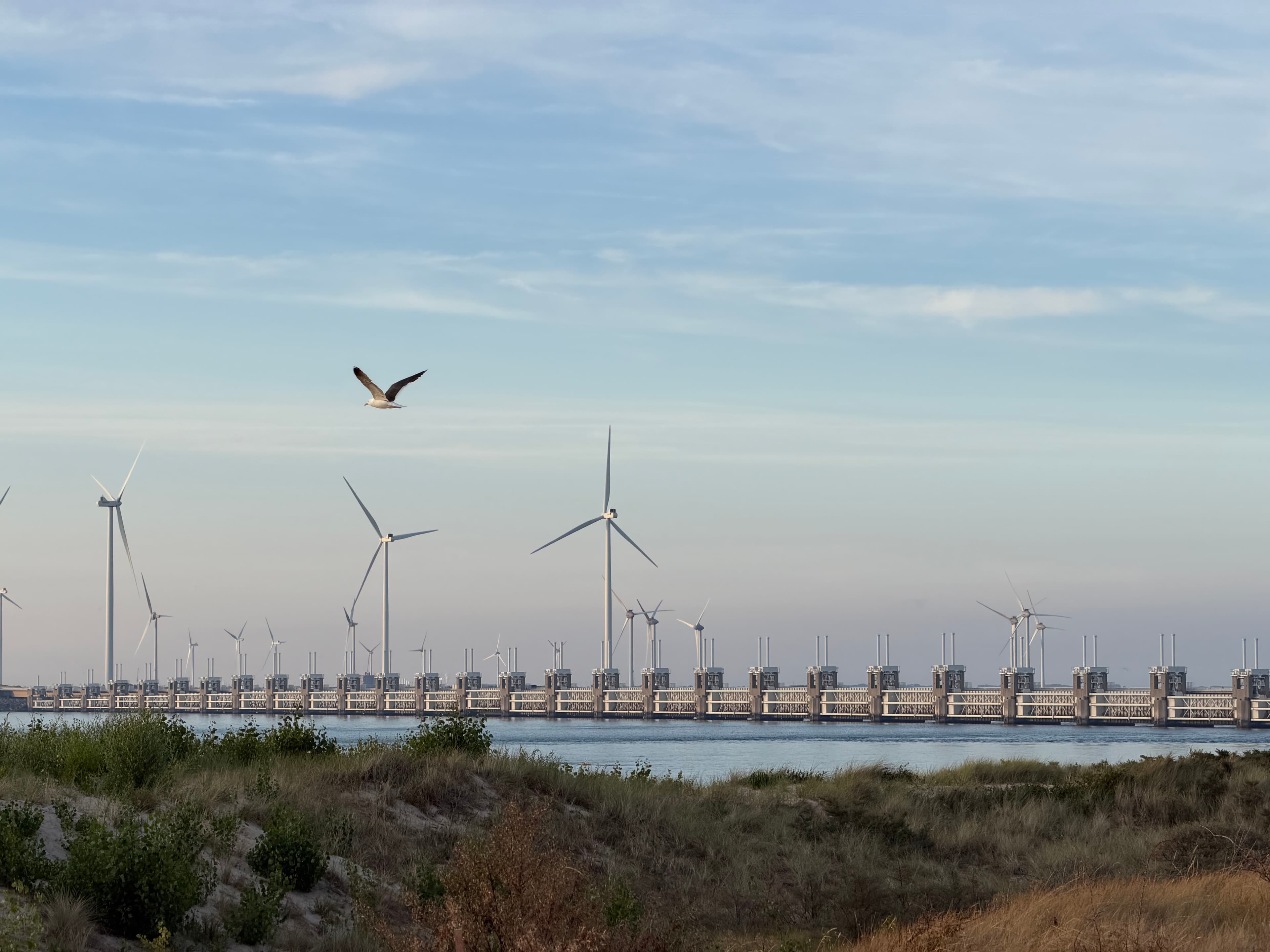De oosterscheldekering
